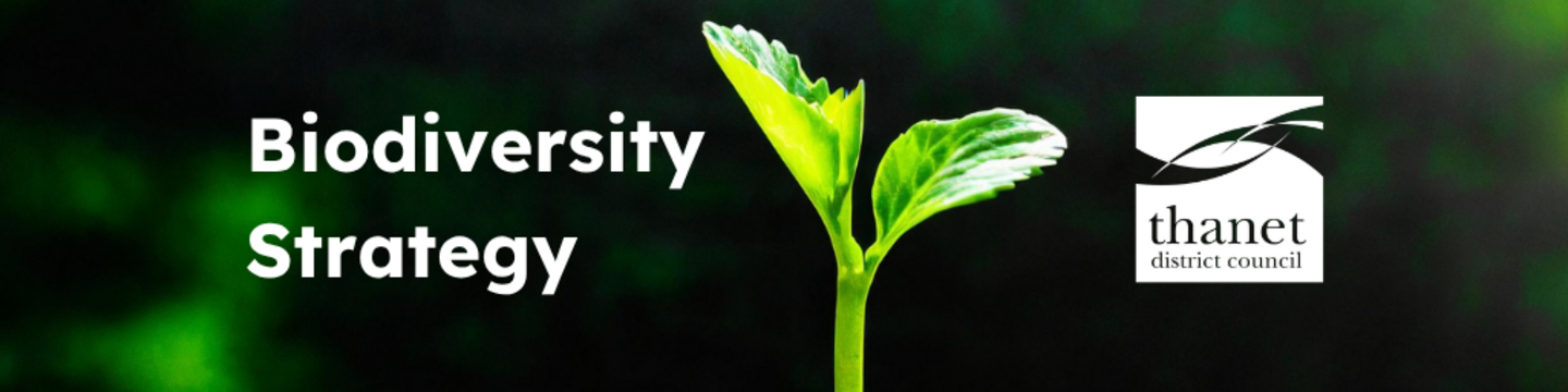 Green seedling against a dark, blurred background. Text says Biodiversity Strategy. Thanet District Council logo in white