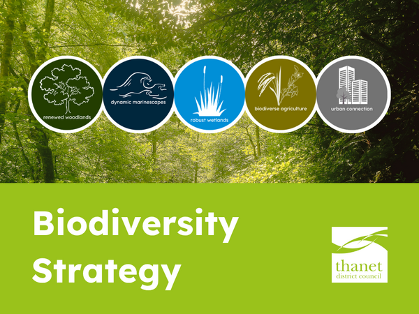 Forest background with icons for woodlands, seas, wetlands, farming, and urban areas.  Overlay of bight green colour block. Text: Biodiversity Strategy in white. White Thanet District Council to the right of the text